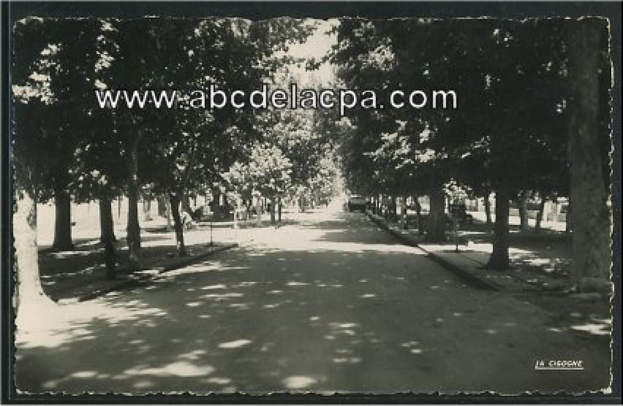 Lamoricière   (Ouled Mimoun)  - boulevard de la république