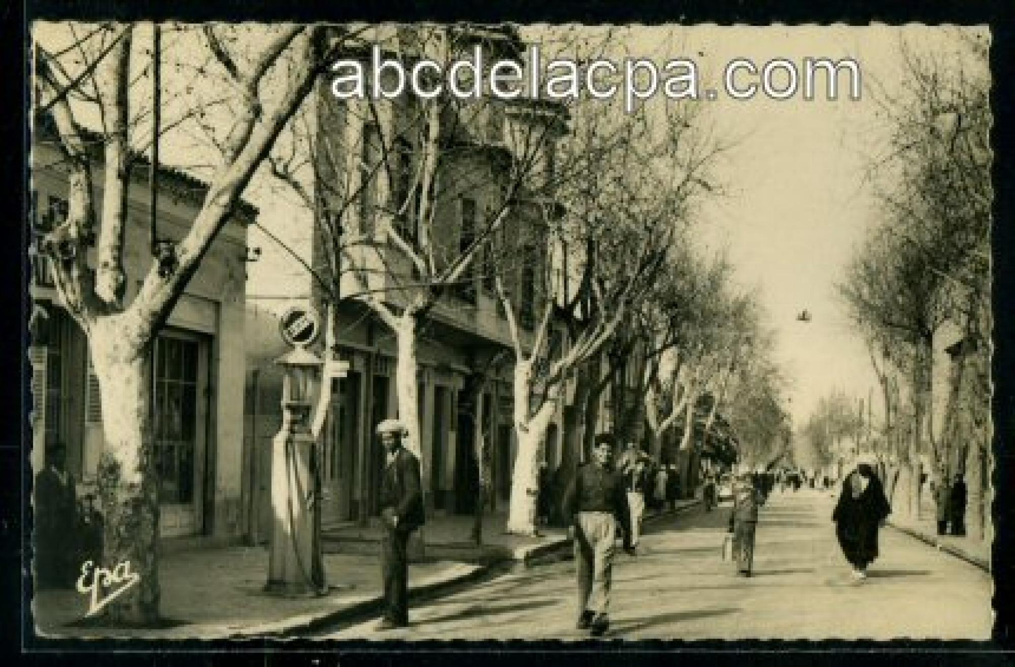 Lamoricière   (Ouled Mimoun)  - rue principale