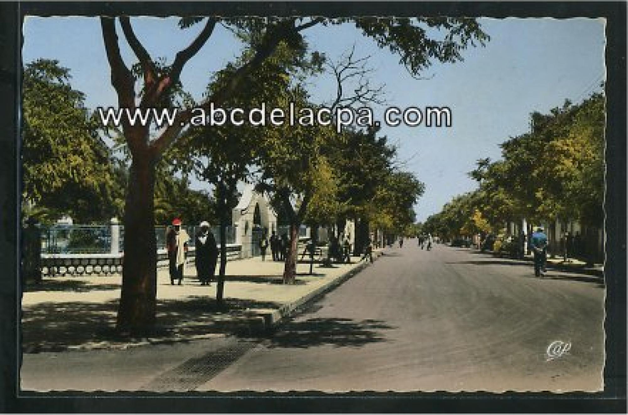 Le Telagh  - boulevard national