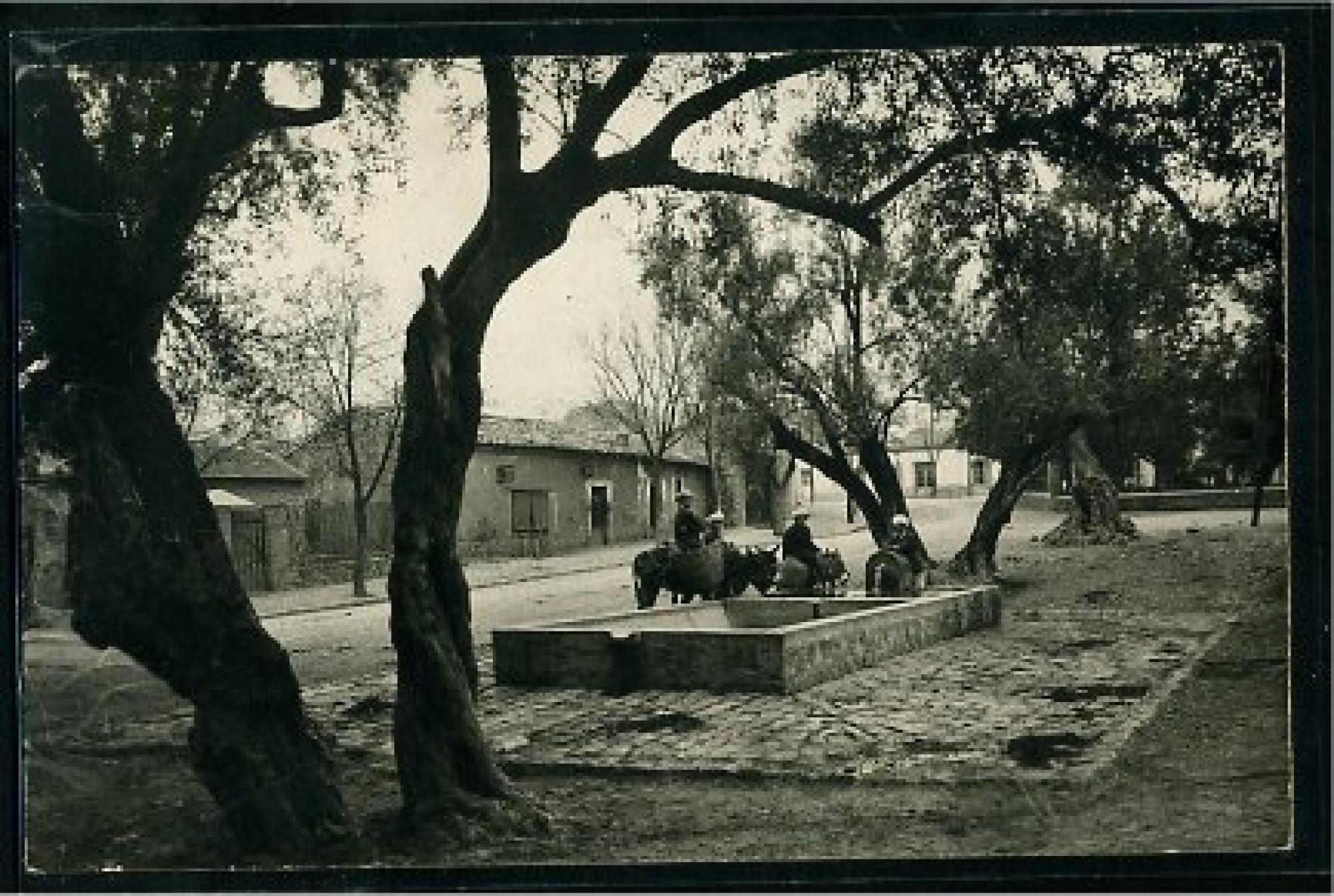 Maillot (M'Chedallah)  - maillot