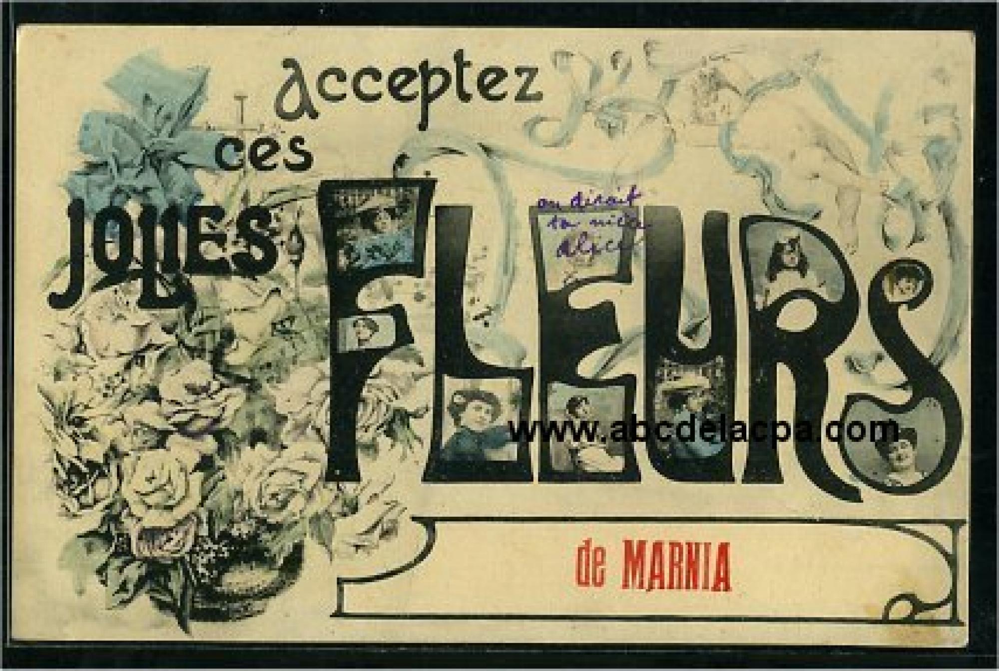 Marnia  - acceptez ces jolies fleurs de marnia