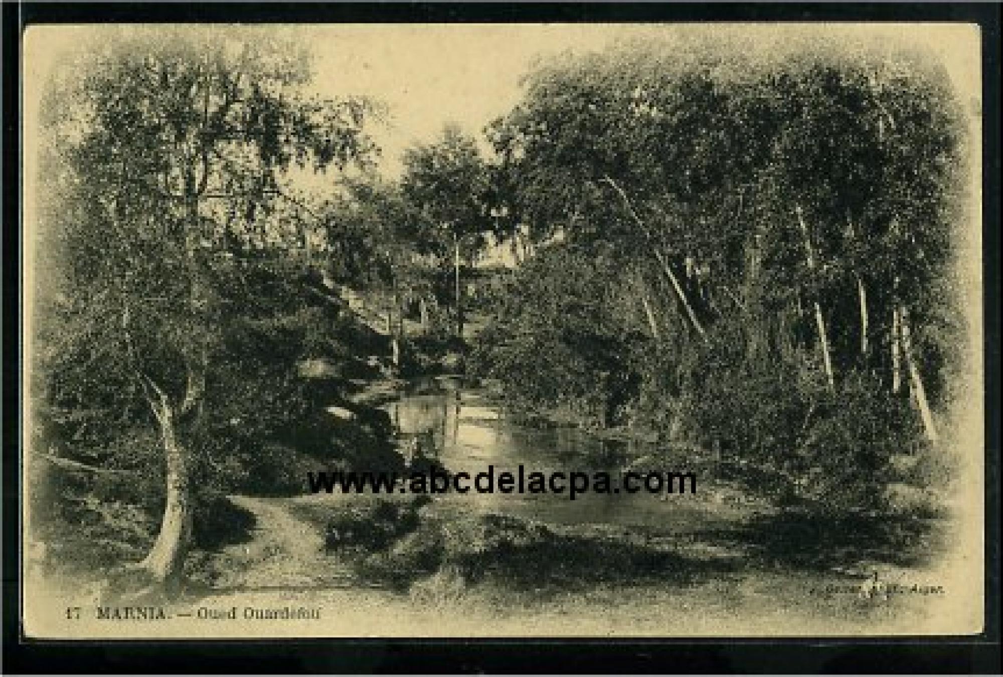 Marnia  - oued ouardefou