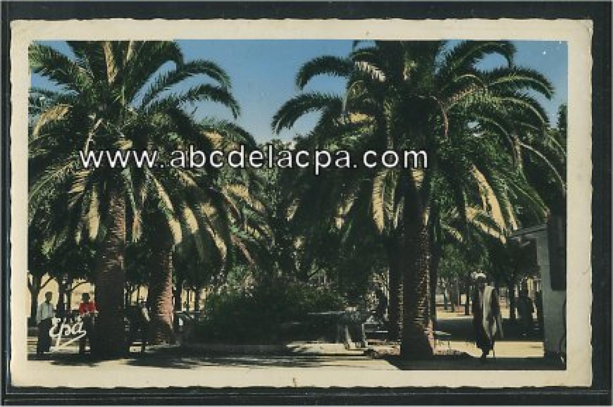 Ménerville   (Thenia)  - la place