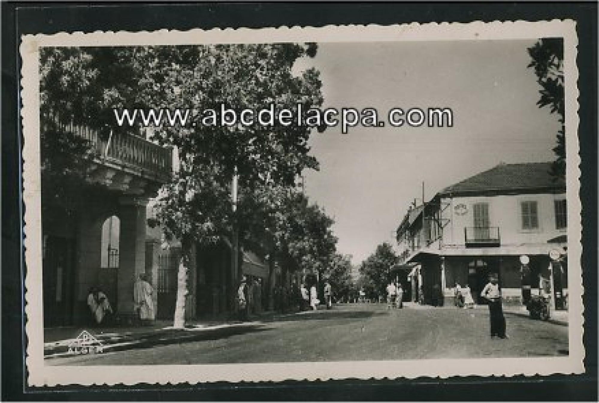 Ménerville   (Thenia)  - entrée de la ville