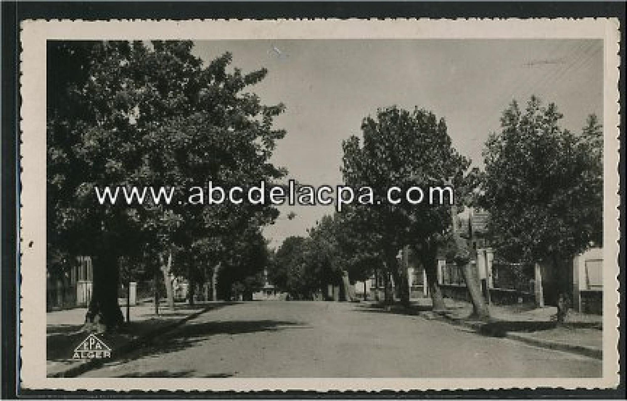 Ménerville   (Thenia)  - boulevard du nord