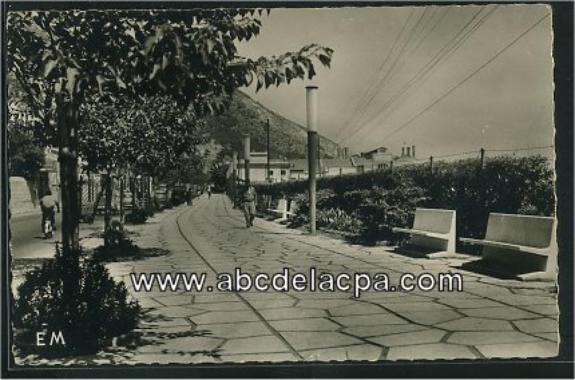 Mers el   Kébir  - l'allée centrale