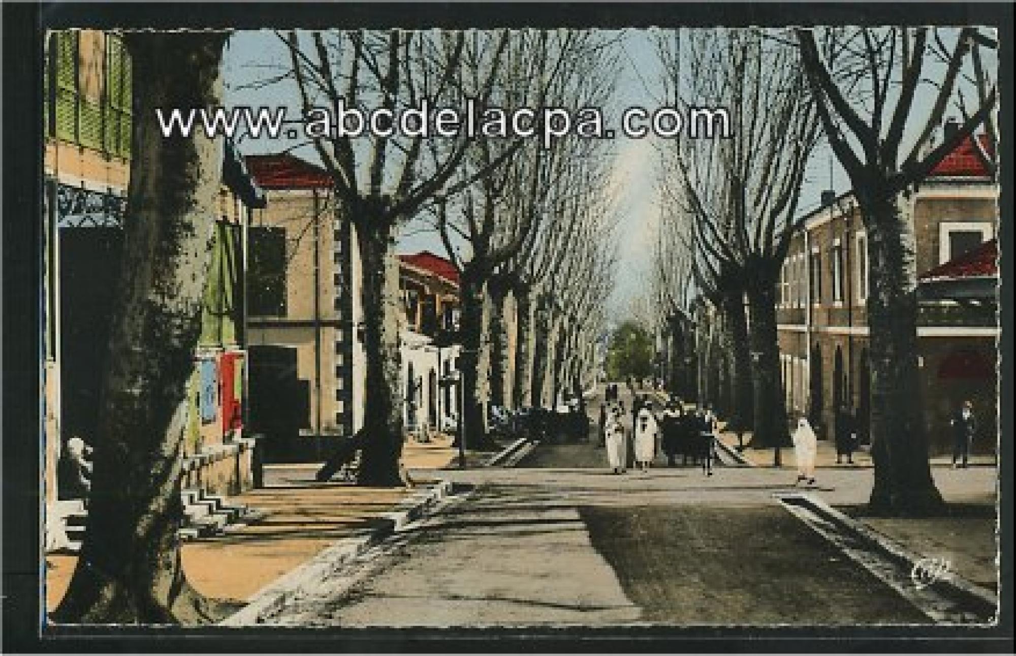 Miliana  - rue saint paul