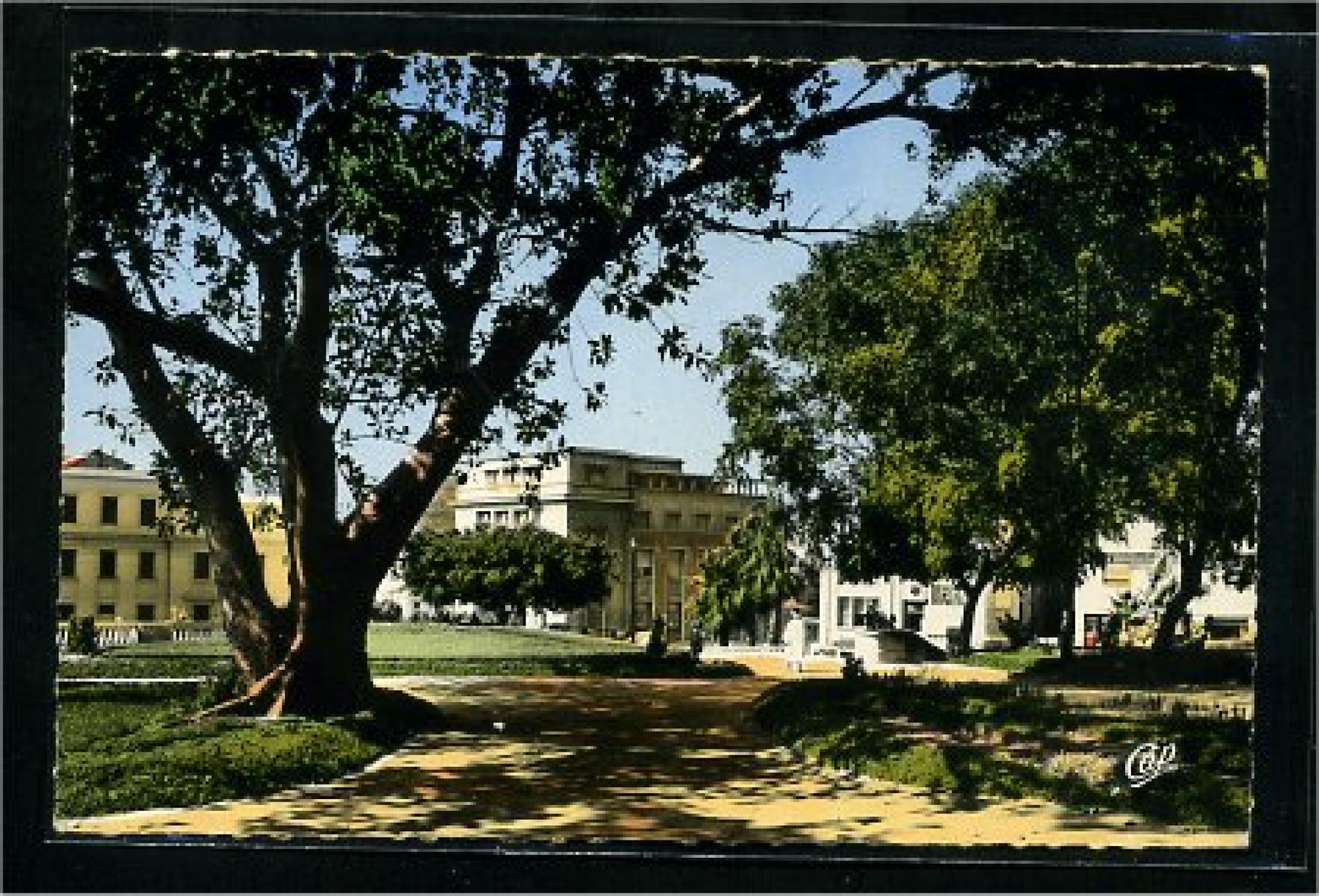 Mostaganem  - le jardin public