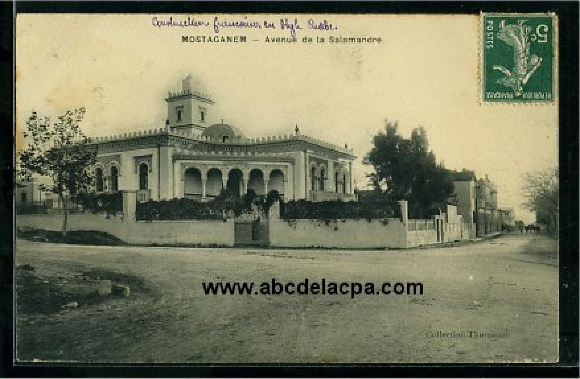 Mostaganem  - avenue de la salamandre