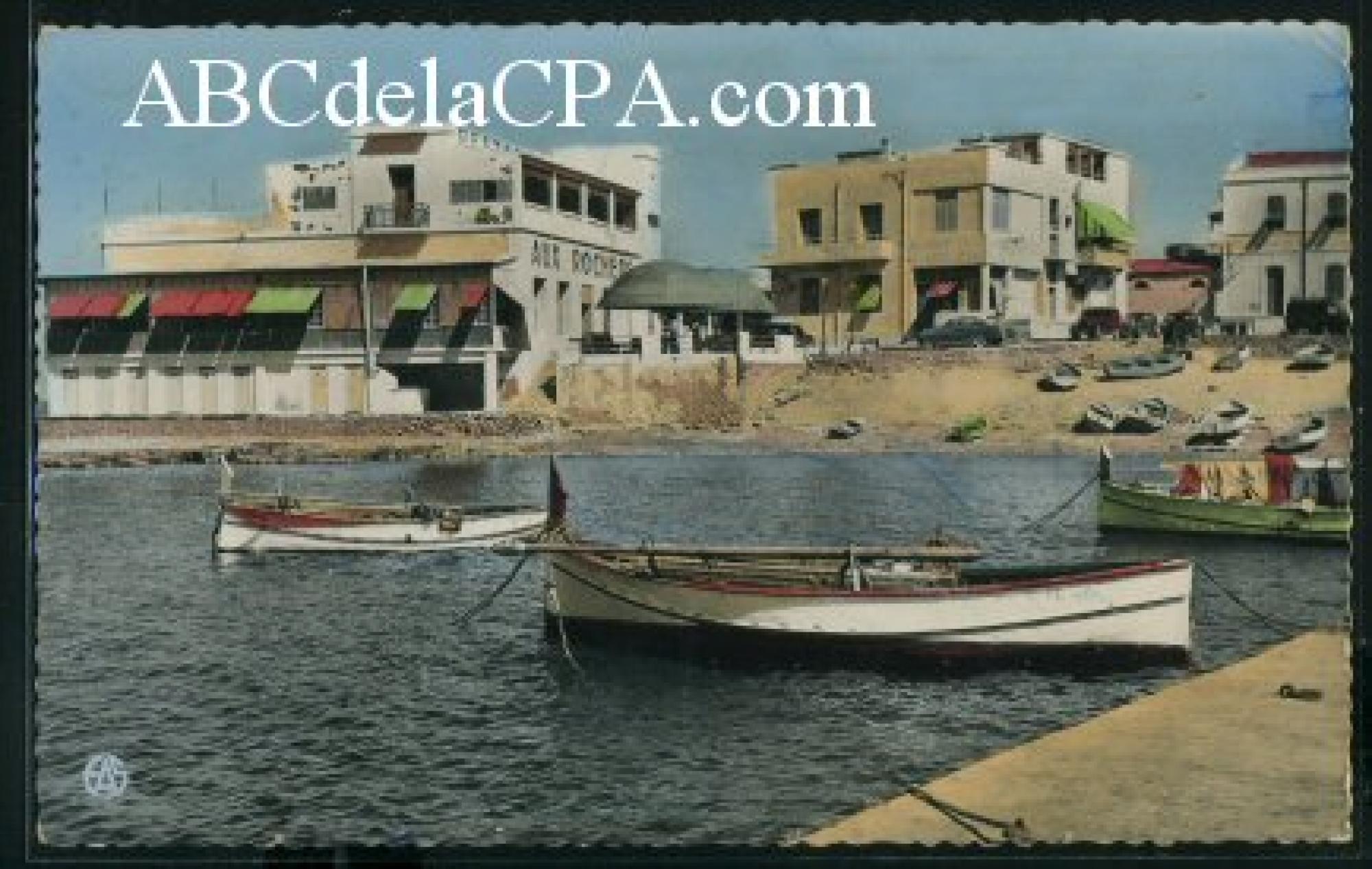 Mostaganem  - la salamandre