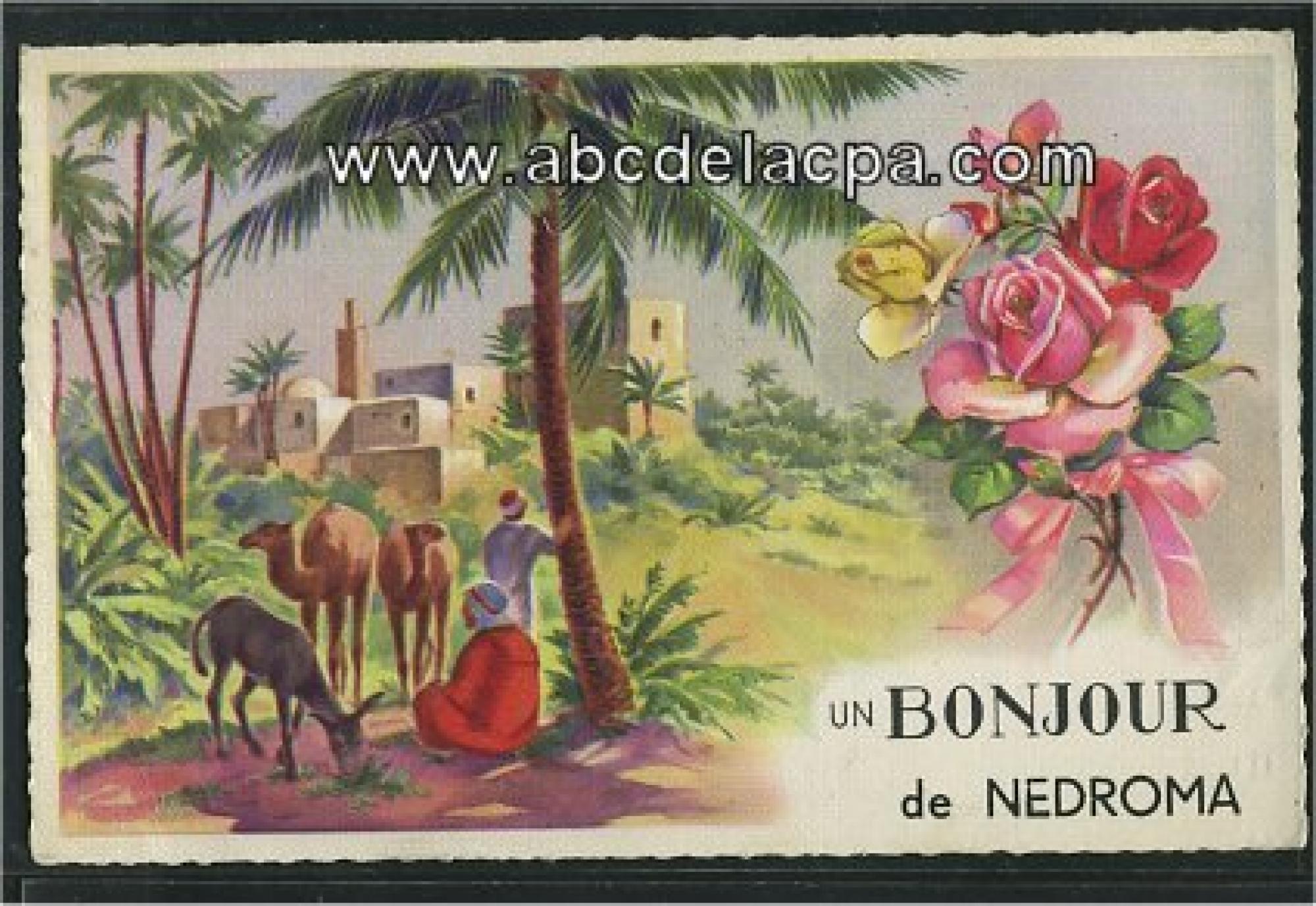 Nedroma  - un bonjour de nedroma