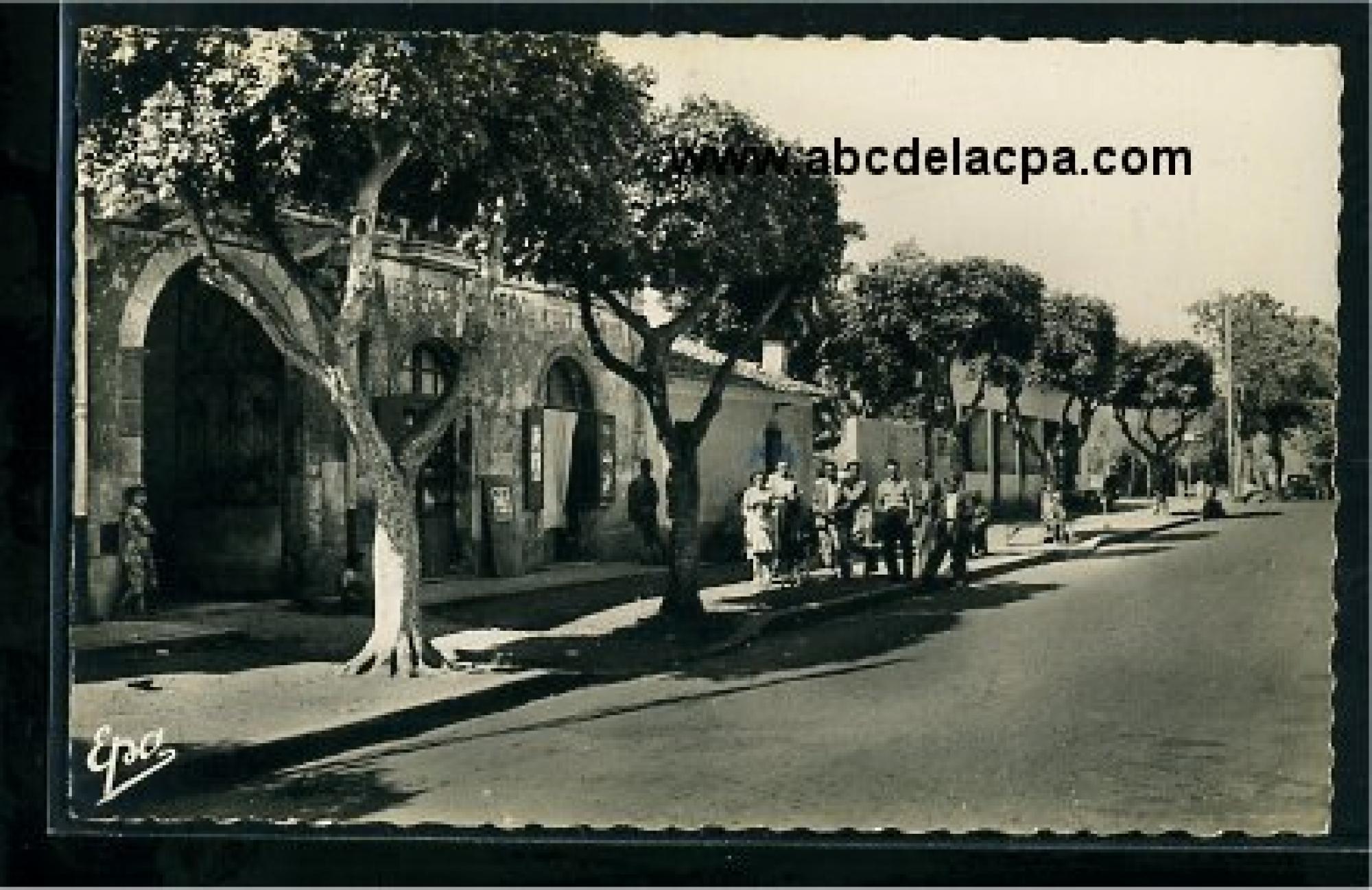 Novi (Sidi Ghiles)  - rue principale