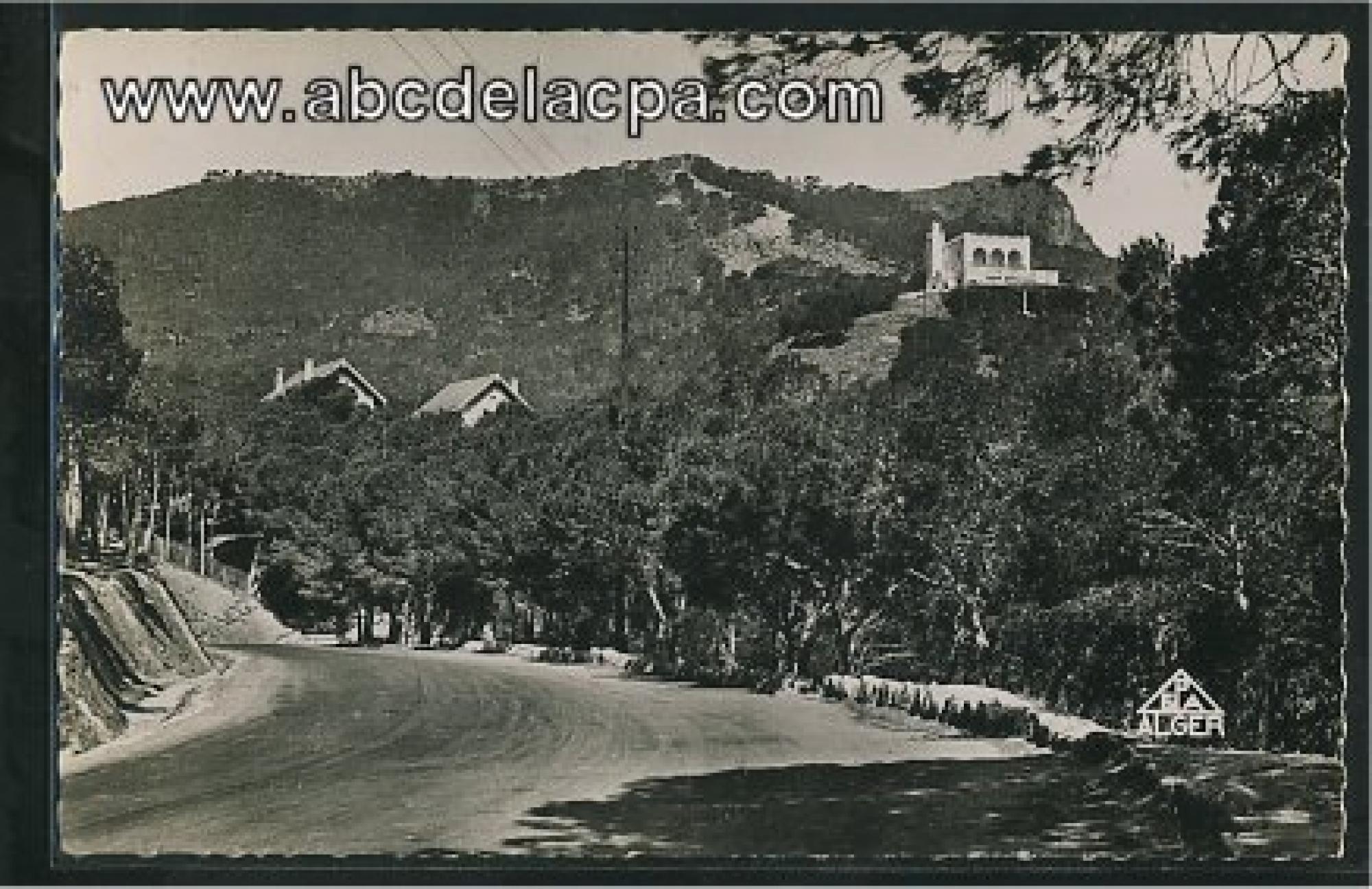 Oran - Rues  - route des planteurs et le belvédère