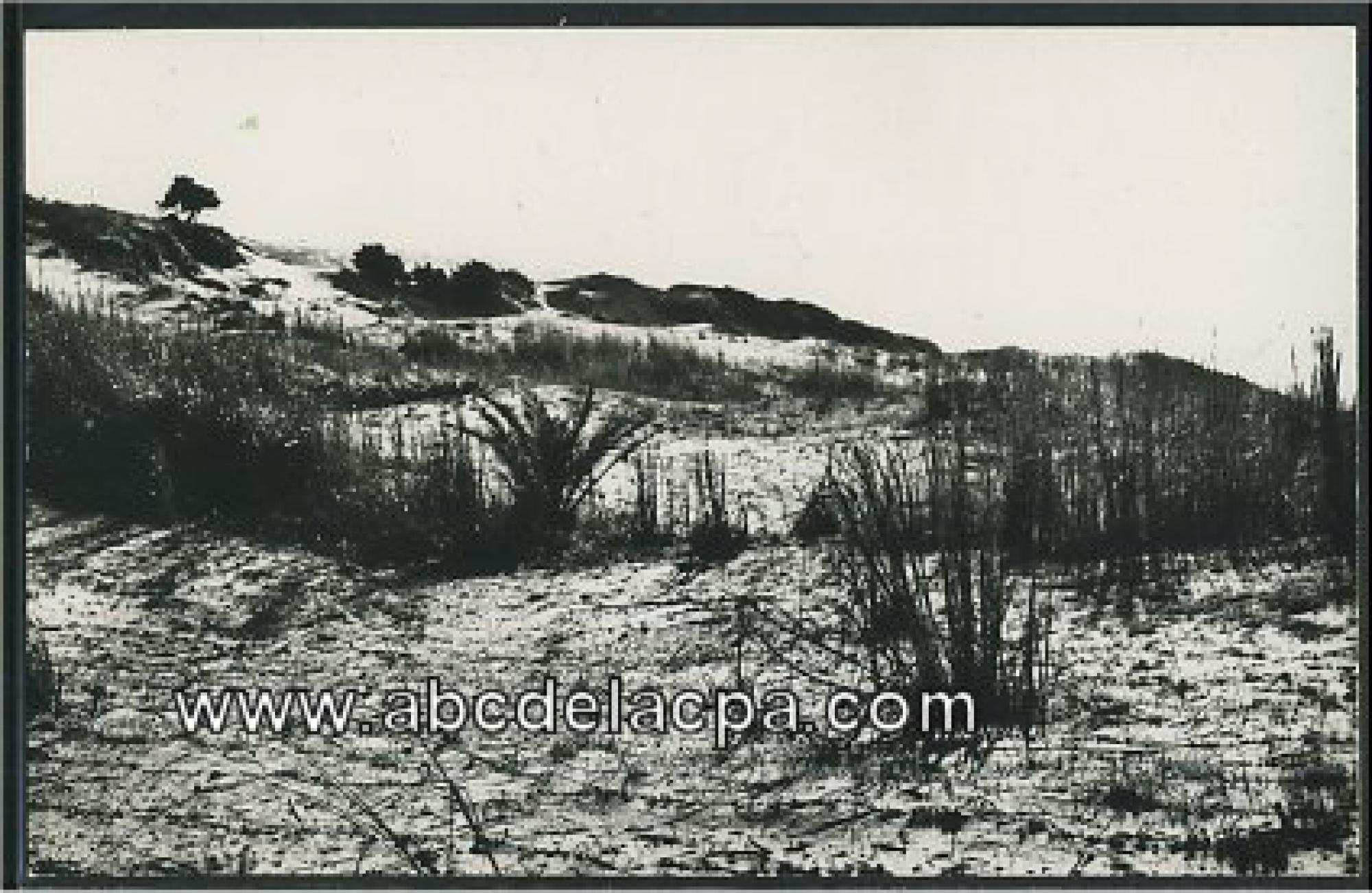 Oran - Rues  - plage des caralettes