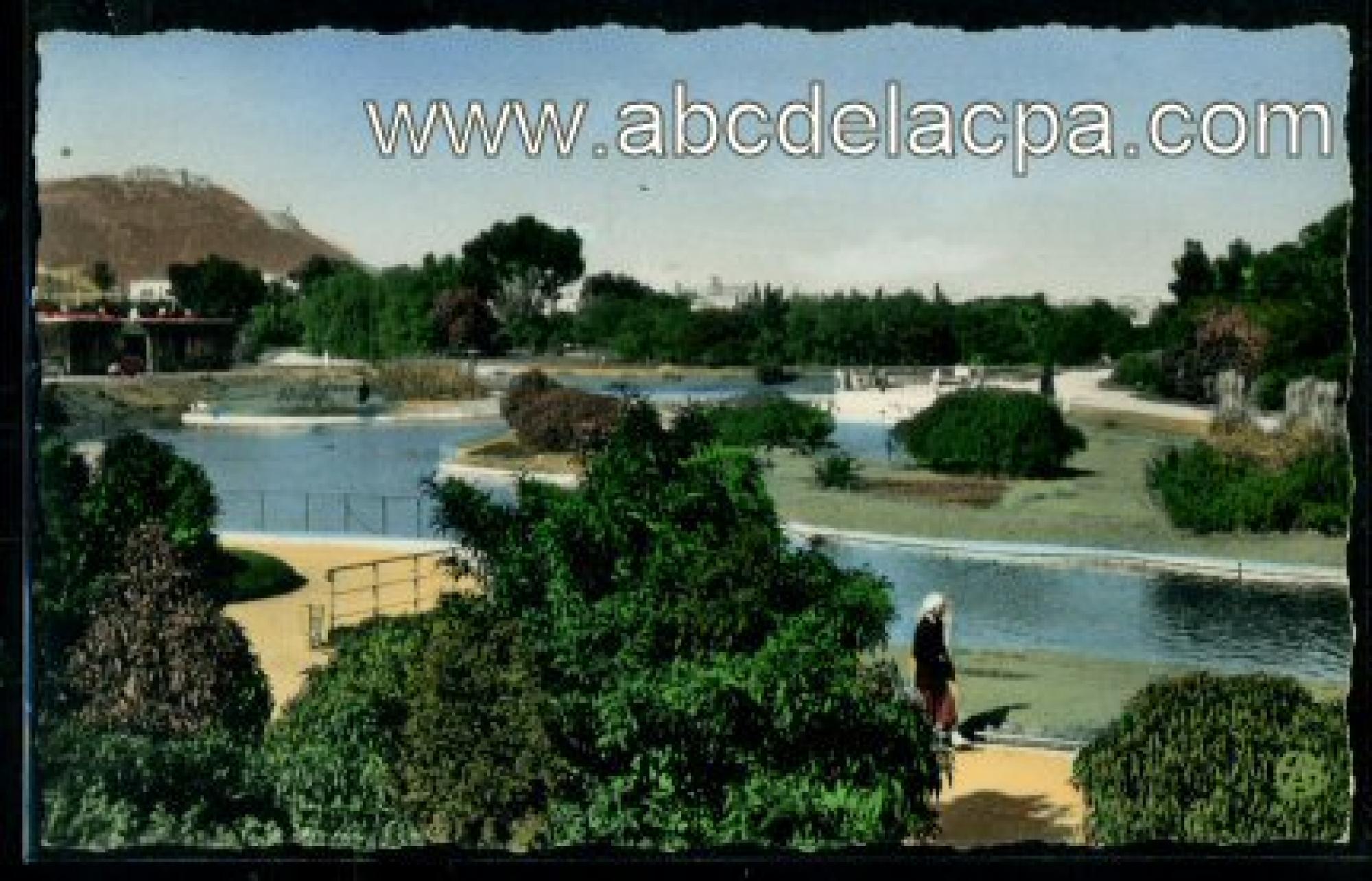 Oran - Rues  - le parc municipal