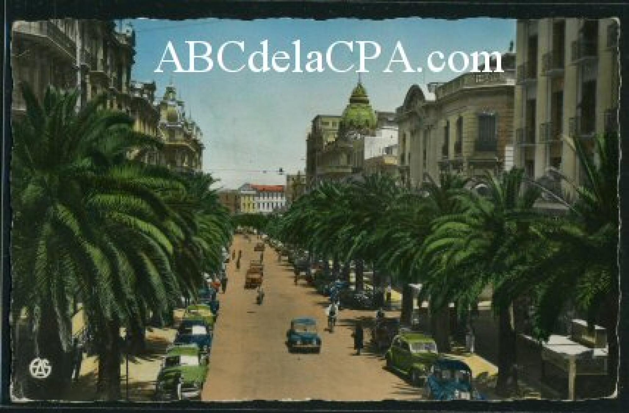 Oran - Rues  - boulevard galliéni