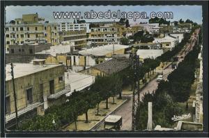 Orléansville  - la rue d'isly