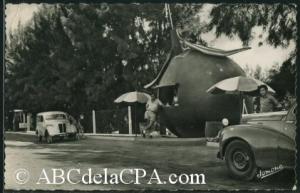 Oued Fodda  - l'orange v.o.f. sur la route d'oran