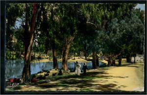 Palikao (Tighenif)  - le grand lac