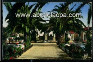 Palikao (Tighenif)  - le jardin