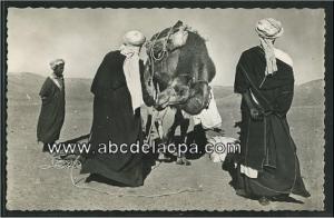 Regann  - reggan - sur la piste des palmeraies