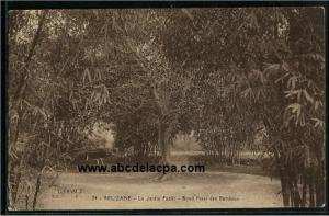 Relizane  - le jardin public - rond point des bambous