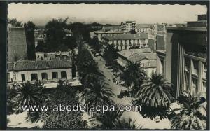 Sidi Bel Abbes  - boulevard de la république