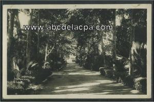 Sidi Bel Abbes  - une allée du jardin public