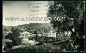 Souk Ahras  - vue partielle et olivier saint augustin