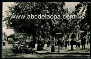 Souk Ahras  - place thagaste