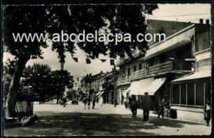 Tebessa  - le cours carnot