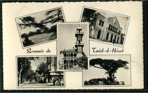 Teniet el Haad  - souvenir de teniet el haad