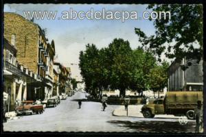 Tiaret  - rue cambon