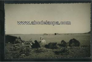 Tindouf  - campement r'guibat