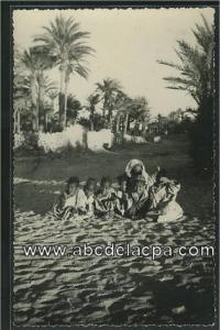 Tindouf  - moutchous dans la palmeraie