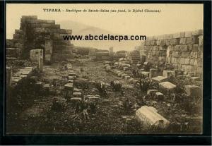 Tipaza  - basilique de saint salsa (aufond, le djebel chenoua)