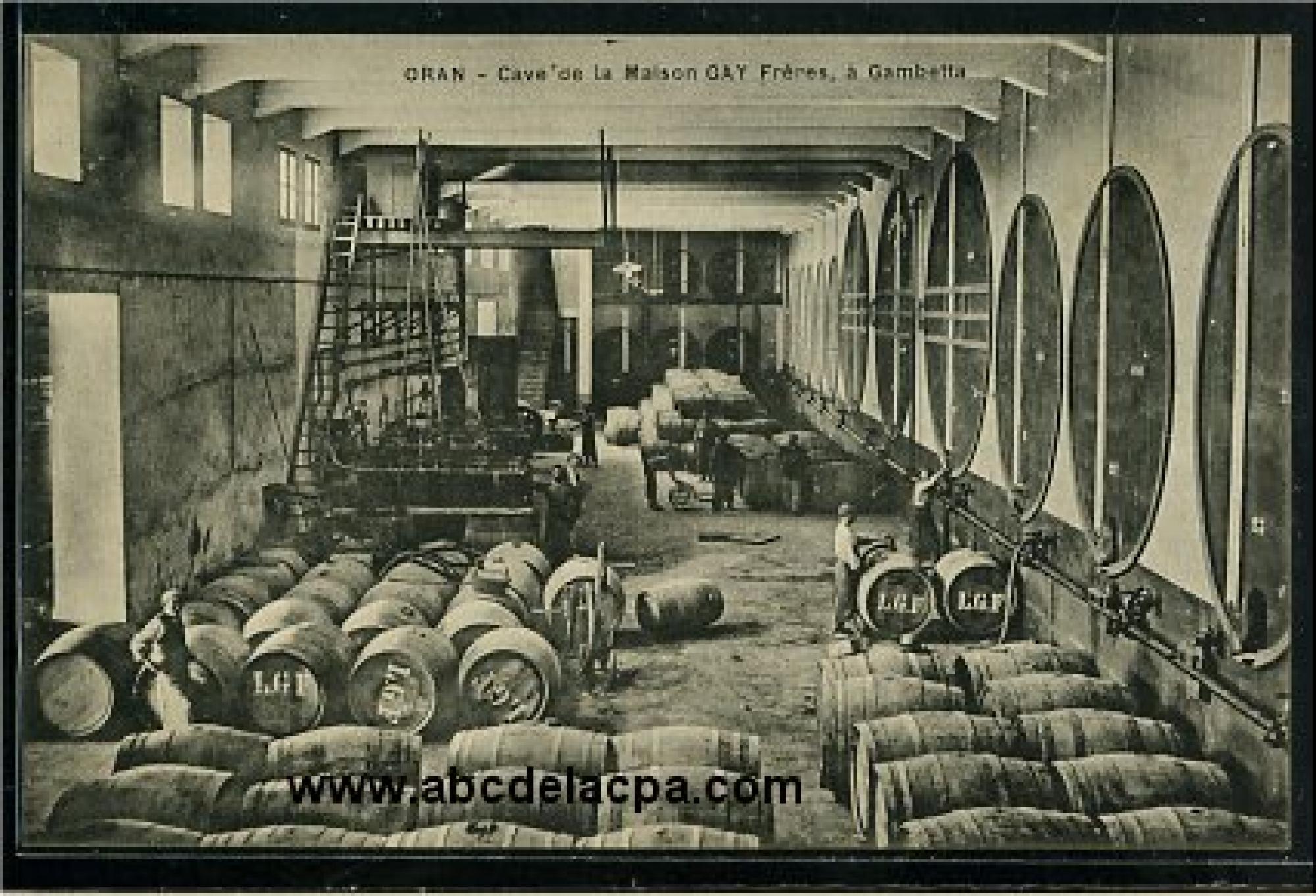 Oran -      Bâtiments  - cave de la maison gay frères, à gambetta