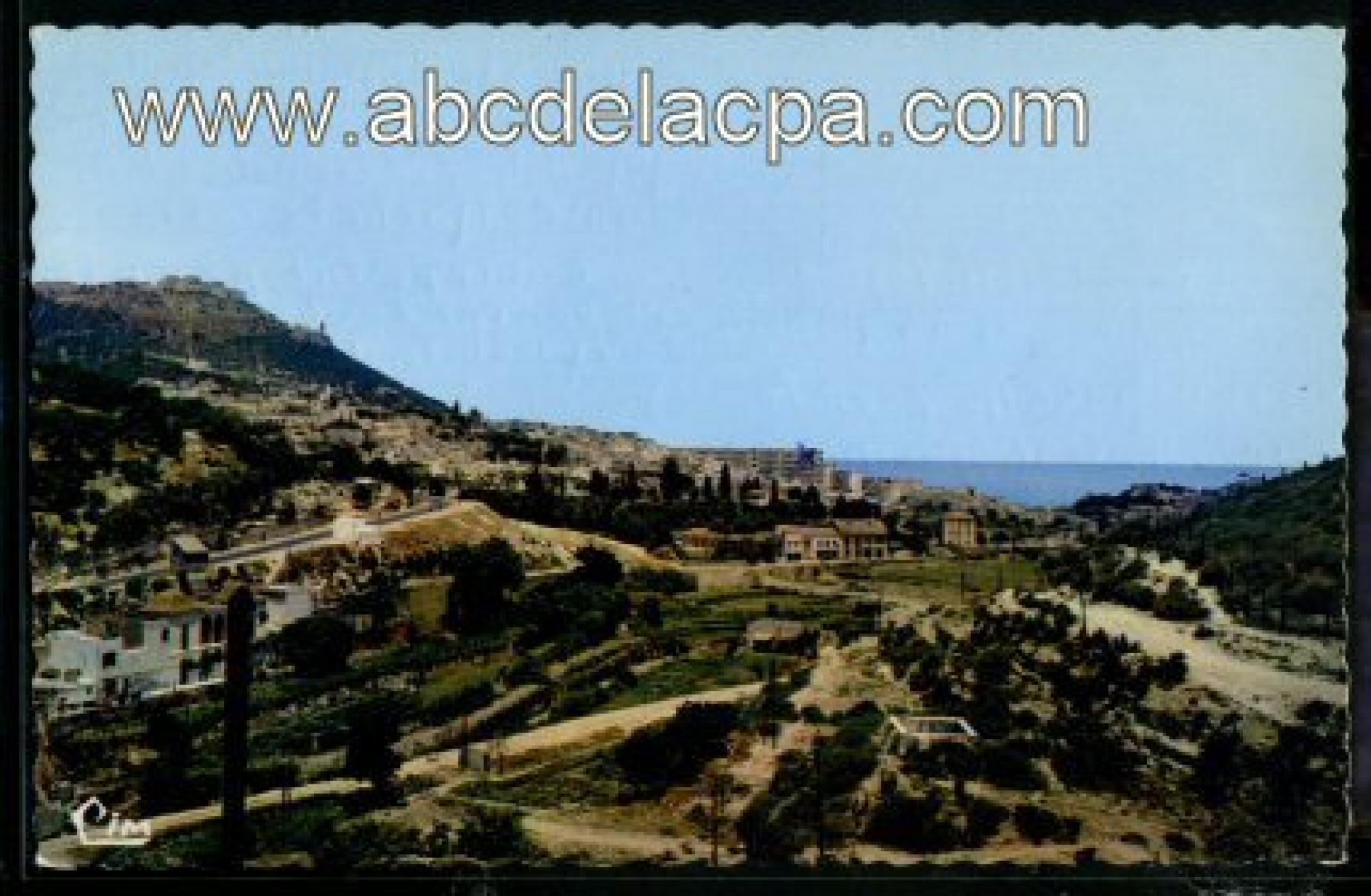 Oran - Vue      générale  - vue générale sur les planteurs