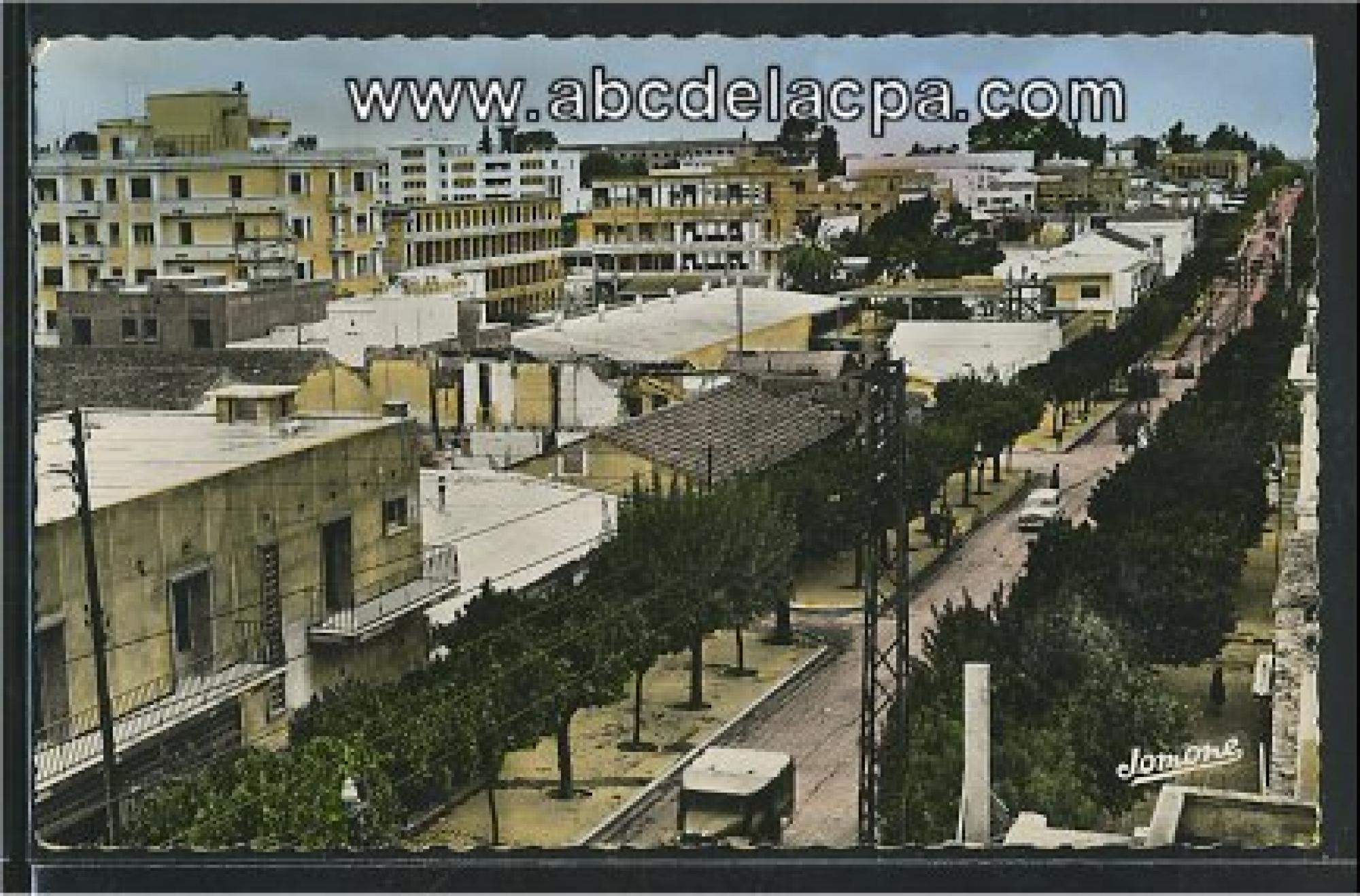 Orléansville  - la rue d'isly