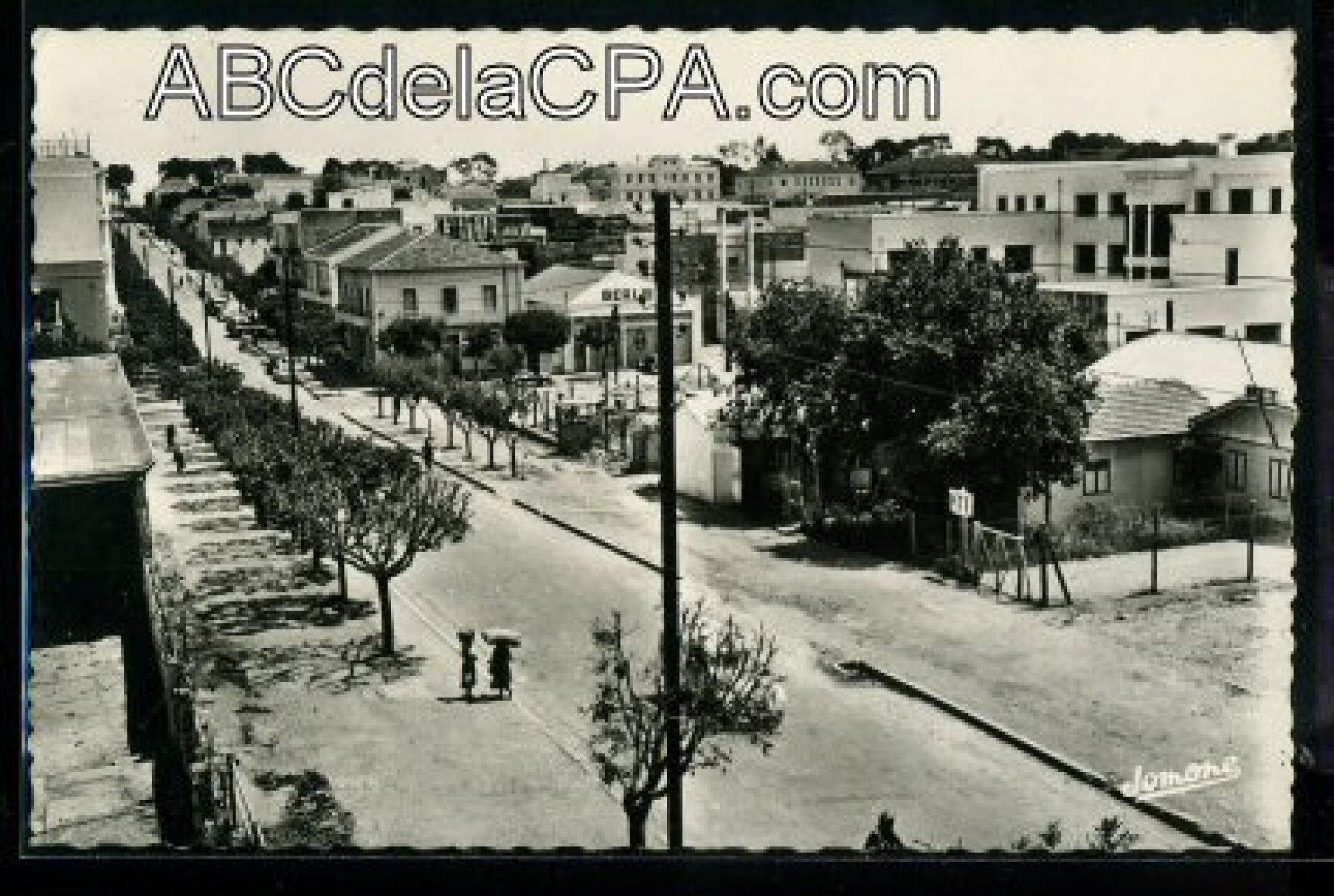 Orléansville  - rue carnot - barraques p.t.t.