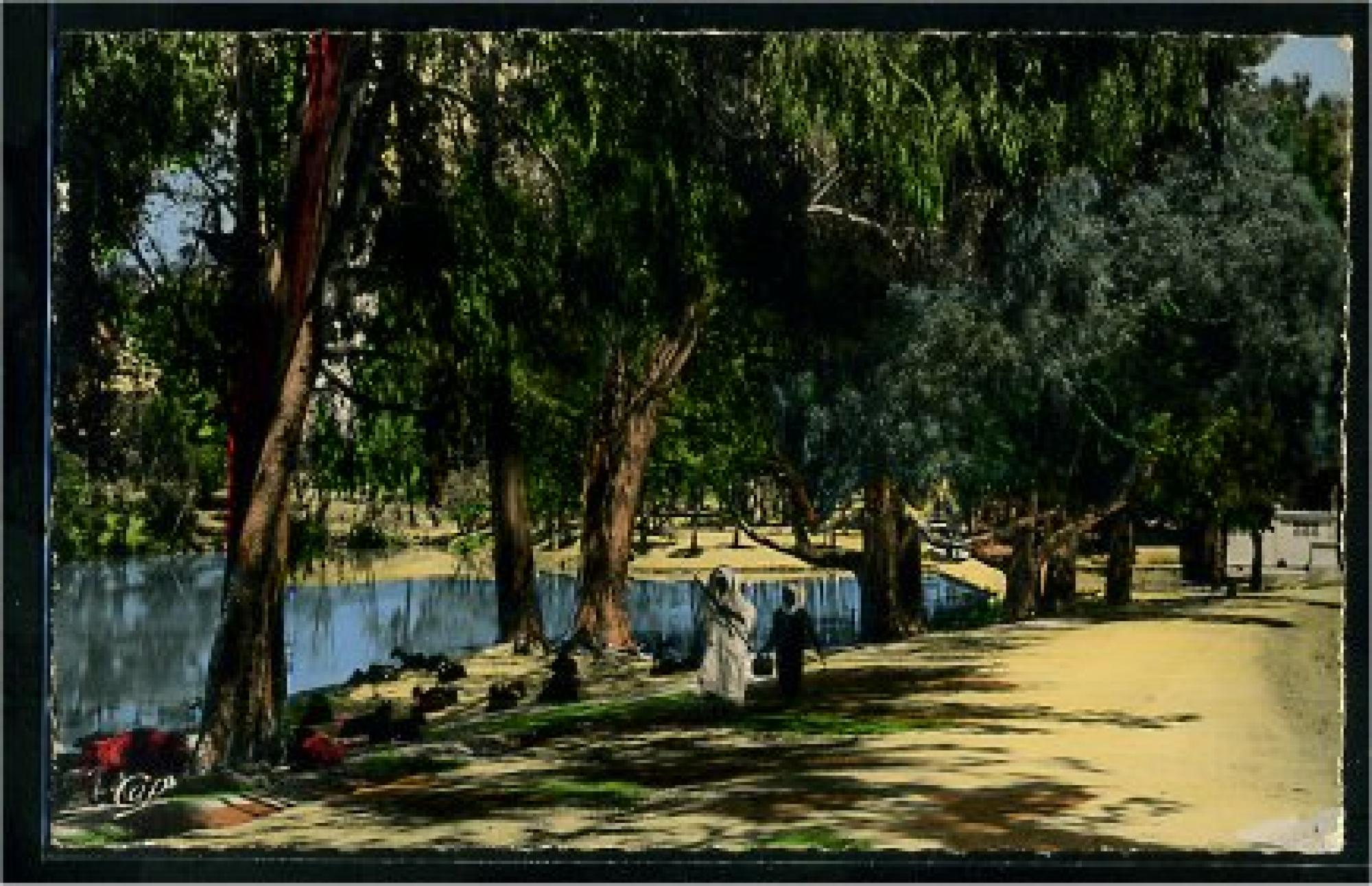 Palikao (Tighenif)  - le grand lac