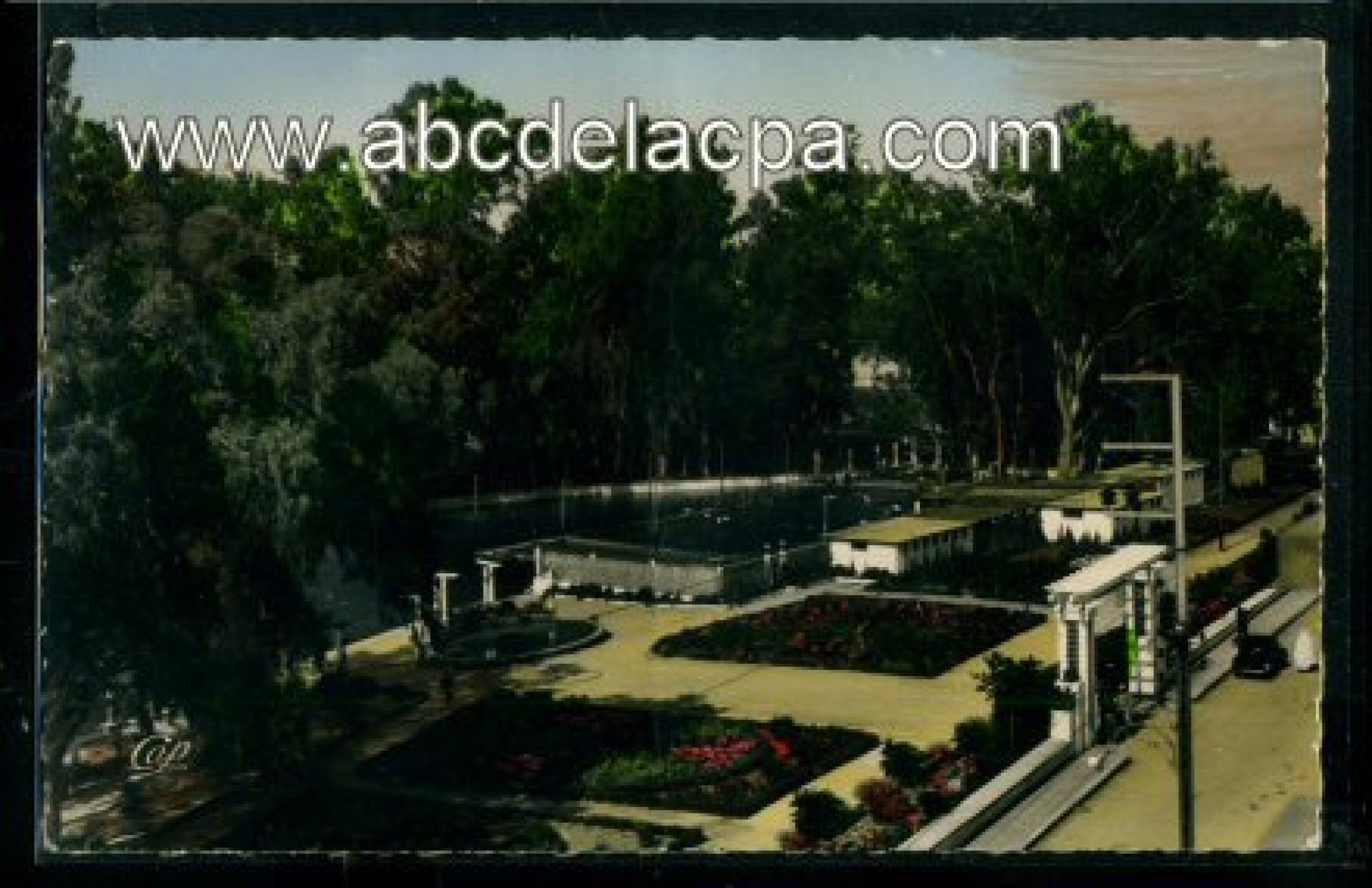 Palikao (Tighenif)  - la piscine et les jardins