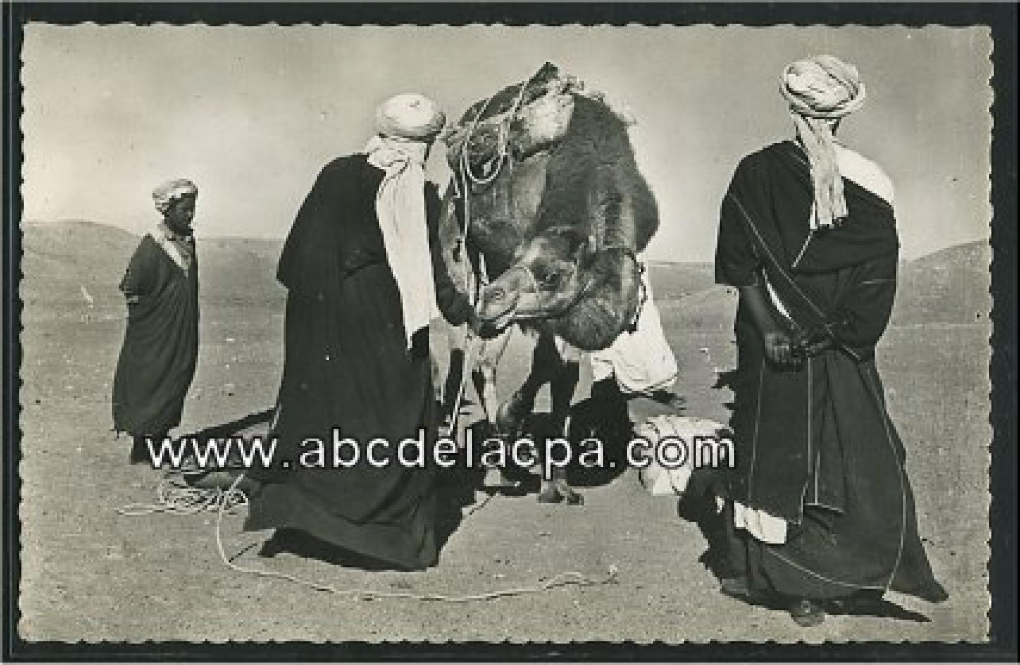 Regann  - reggan - sur la piste des palmeraies