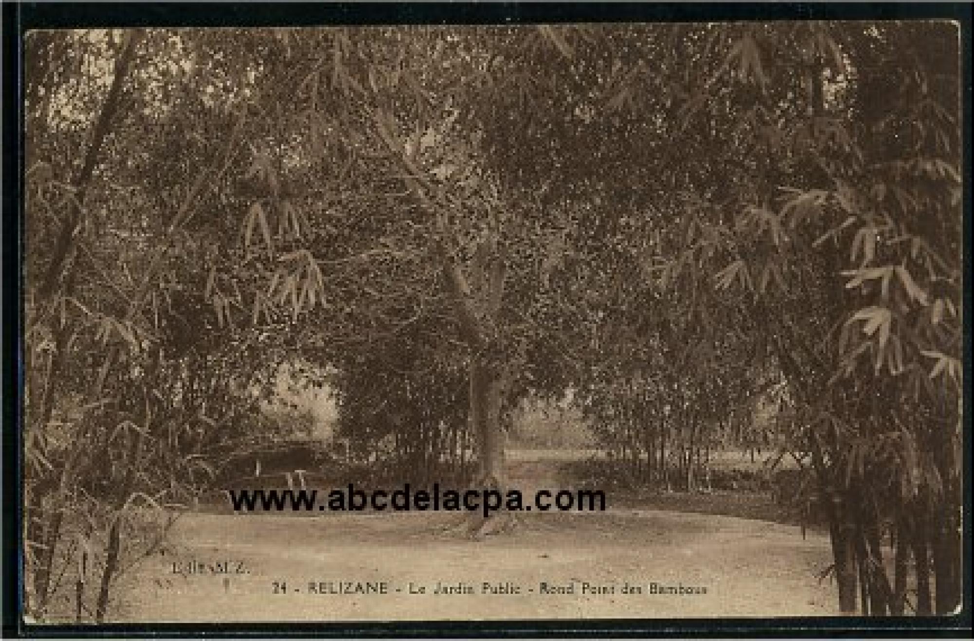 Relizane  - le jardin public - rond point des bambous