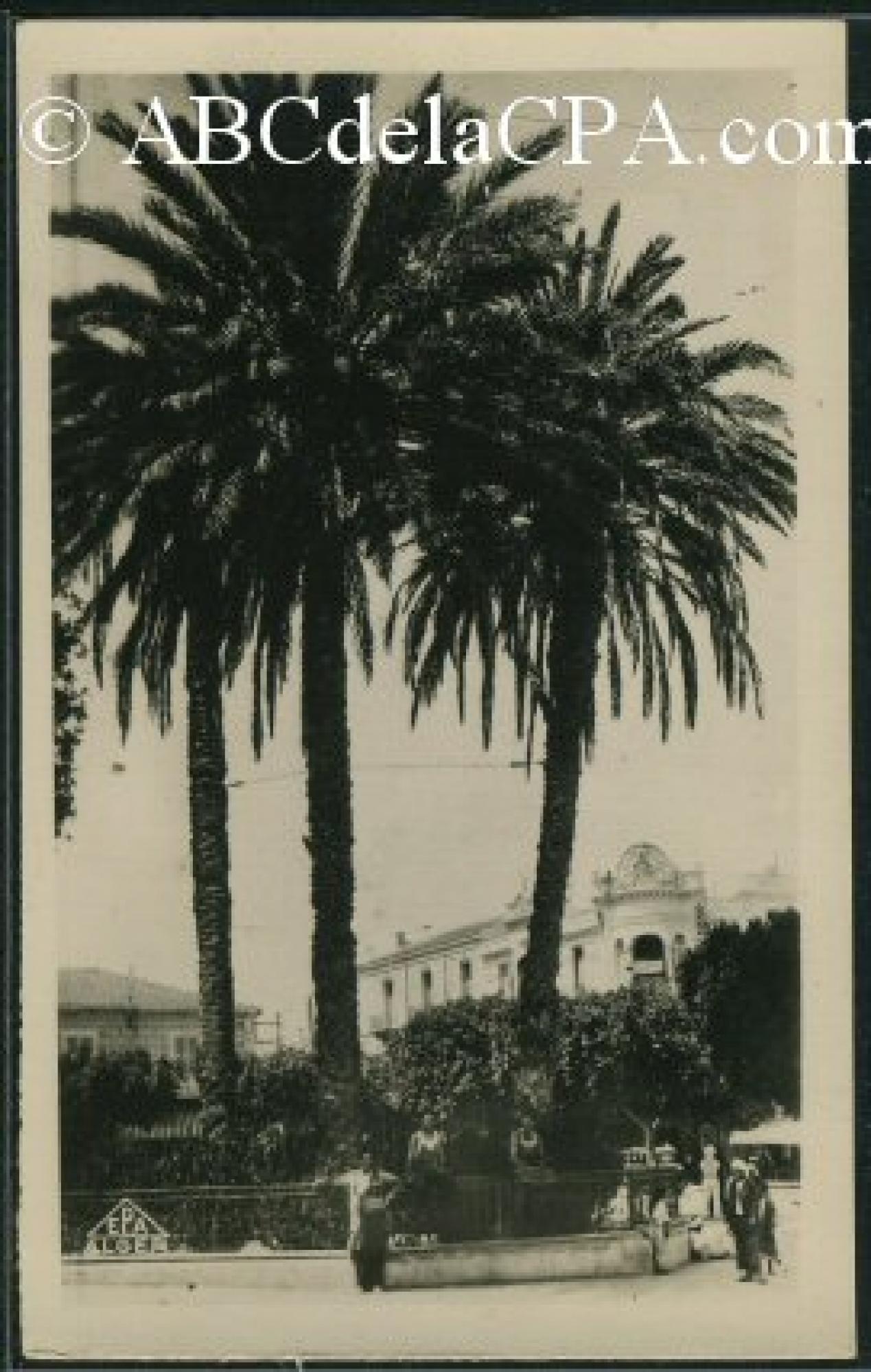 Relizane  - place de la mina