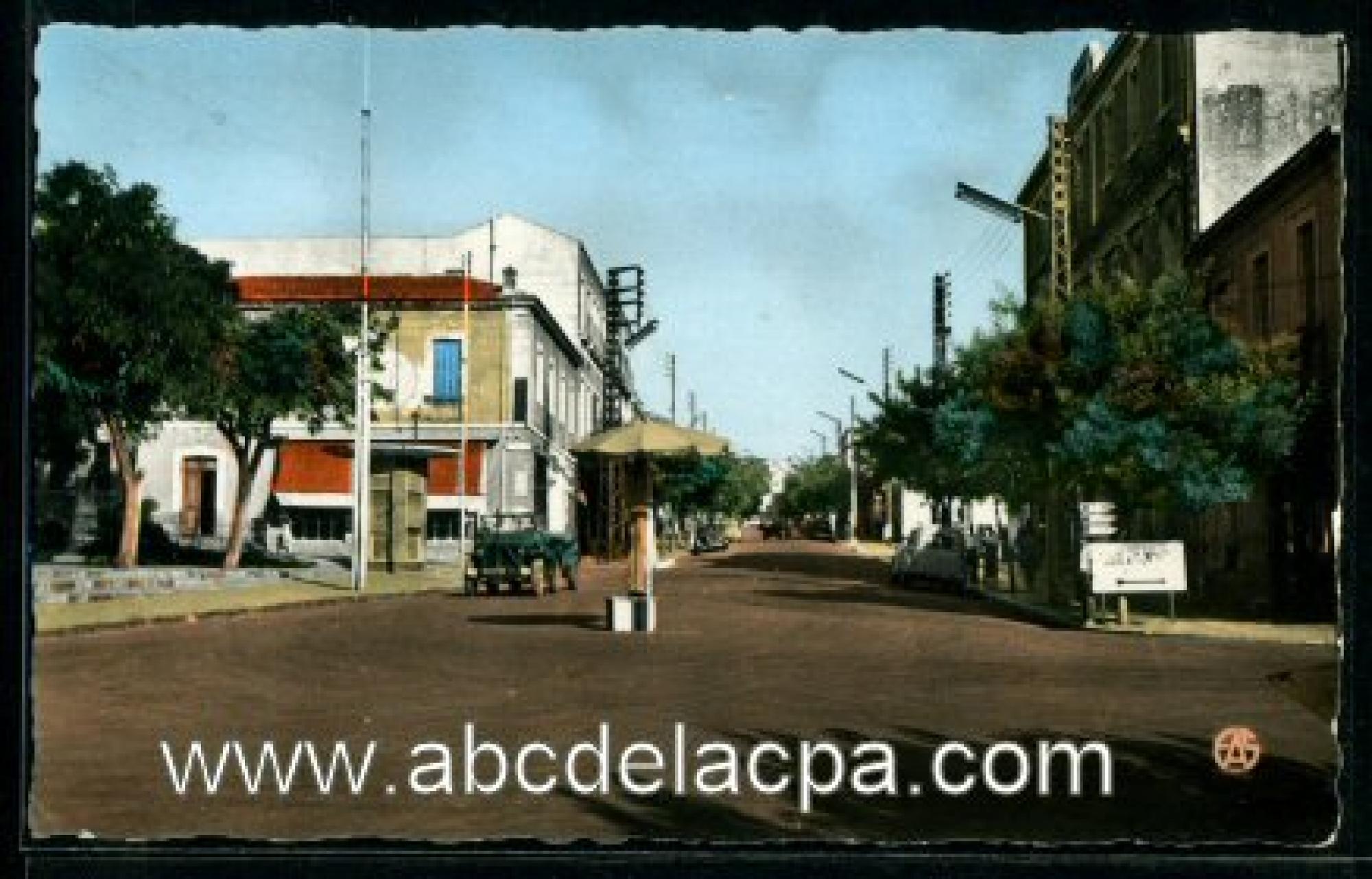 Saïda  - l'avenue foch