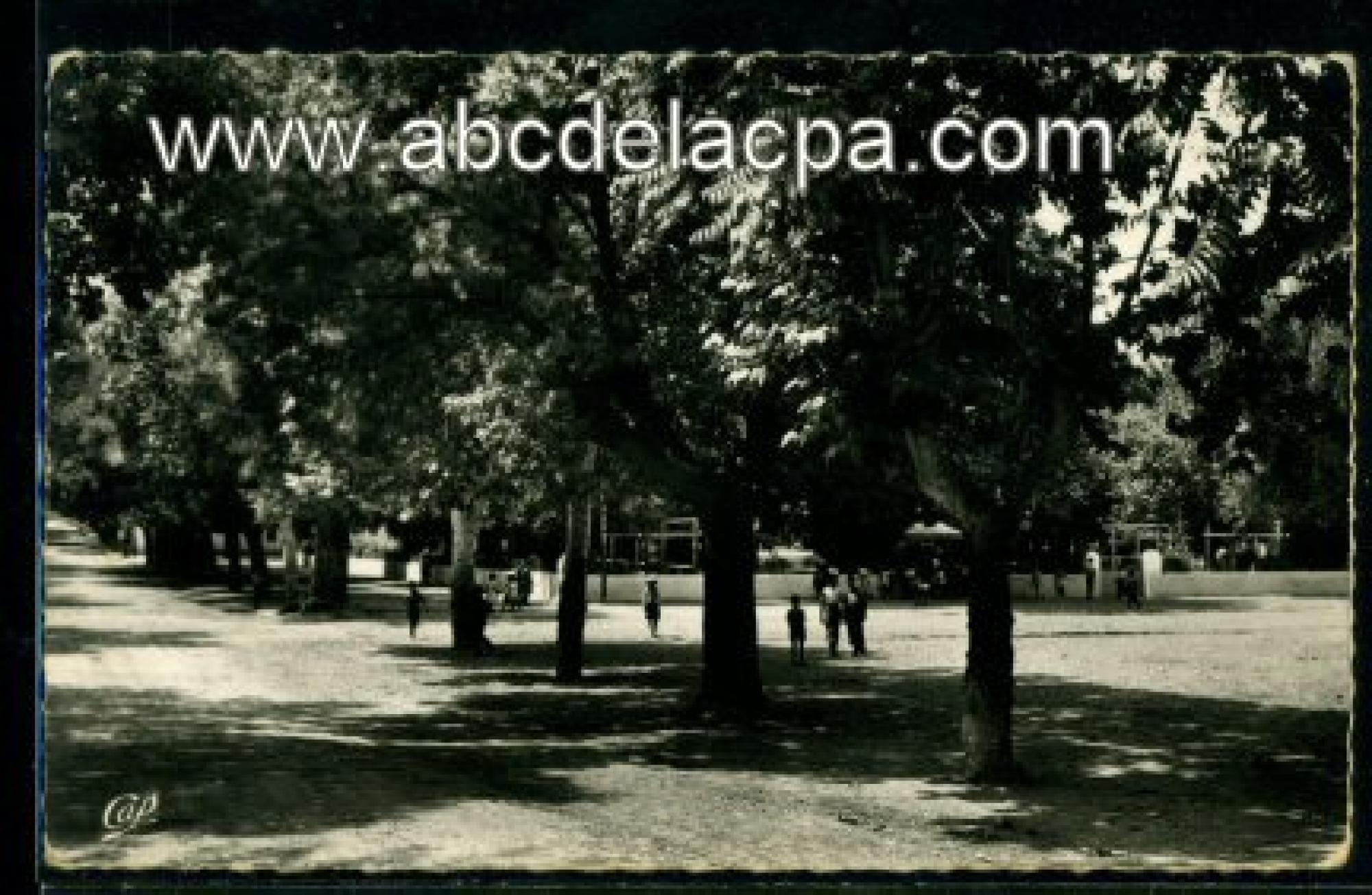 Sebdou  - la grand place