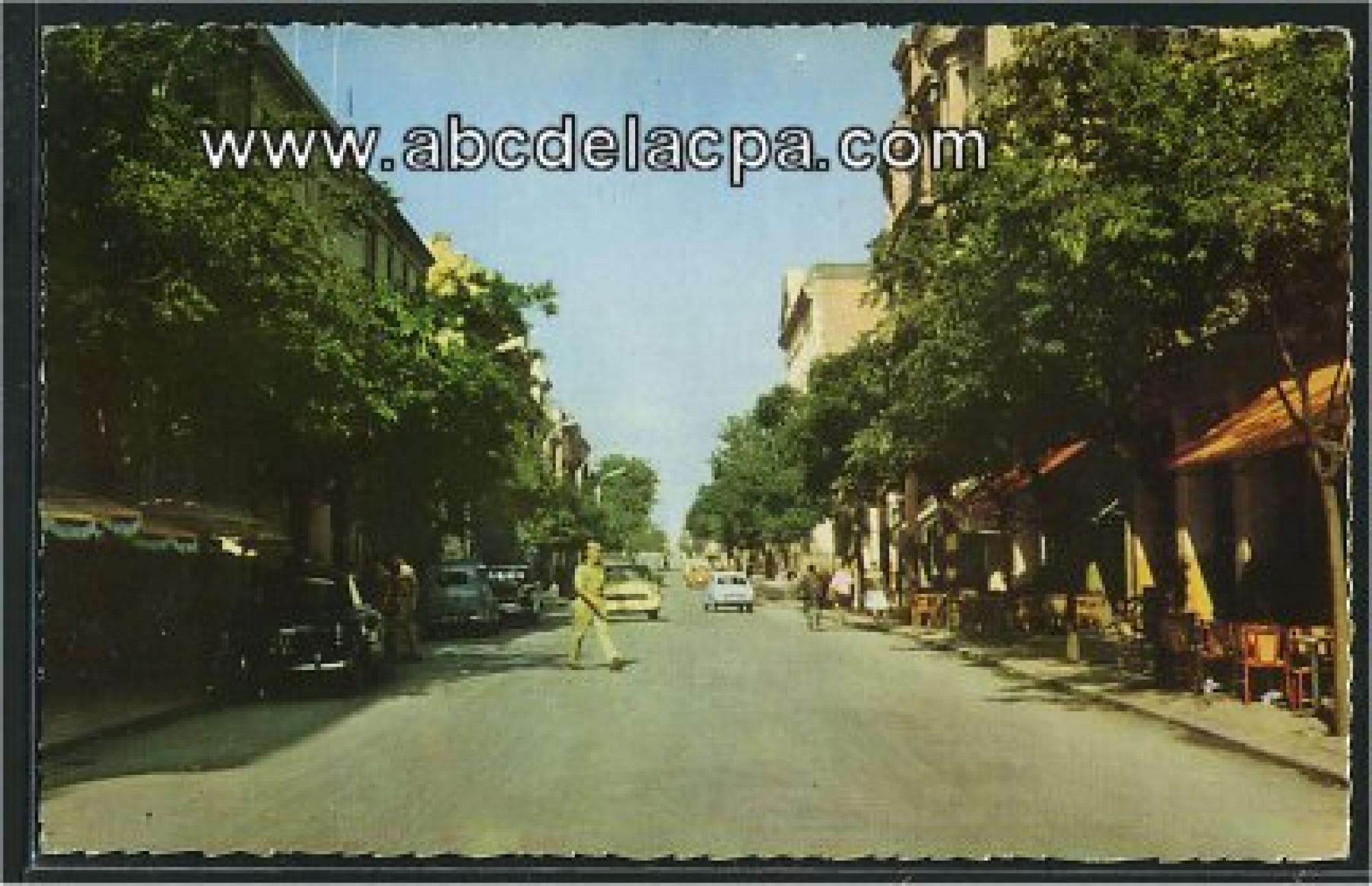 Sétif  - avenue georges clemenceau