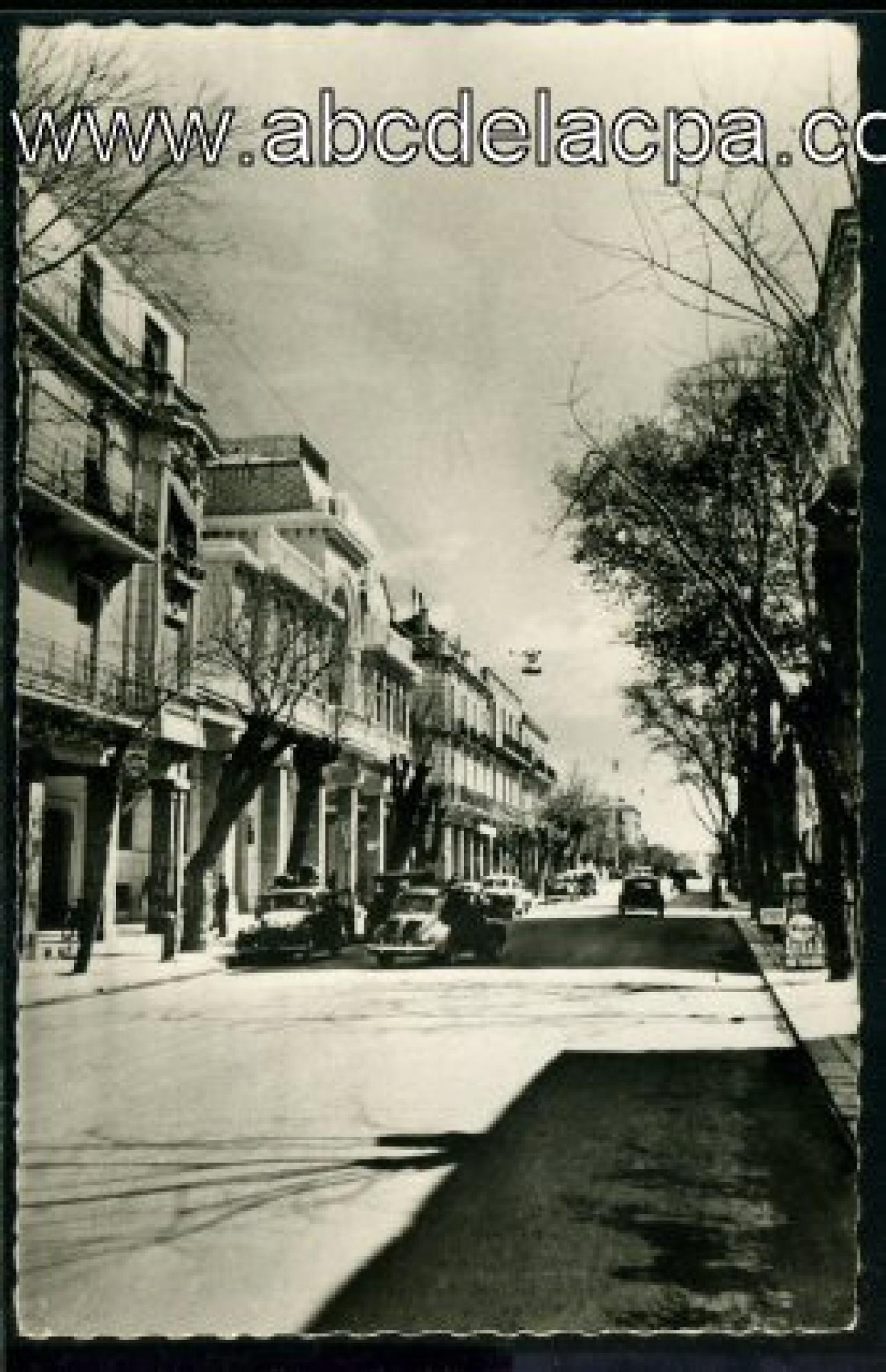 Sétif  - avenue georges clémenceau