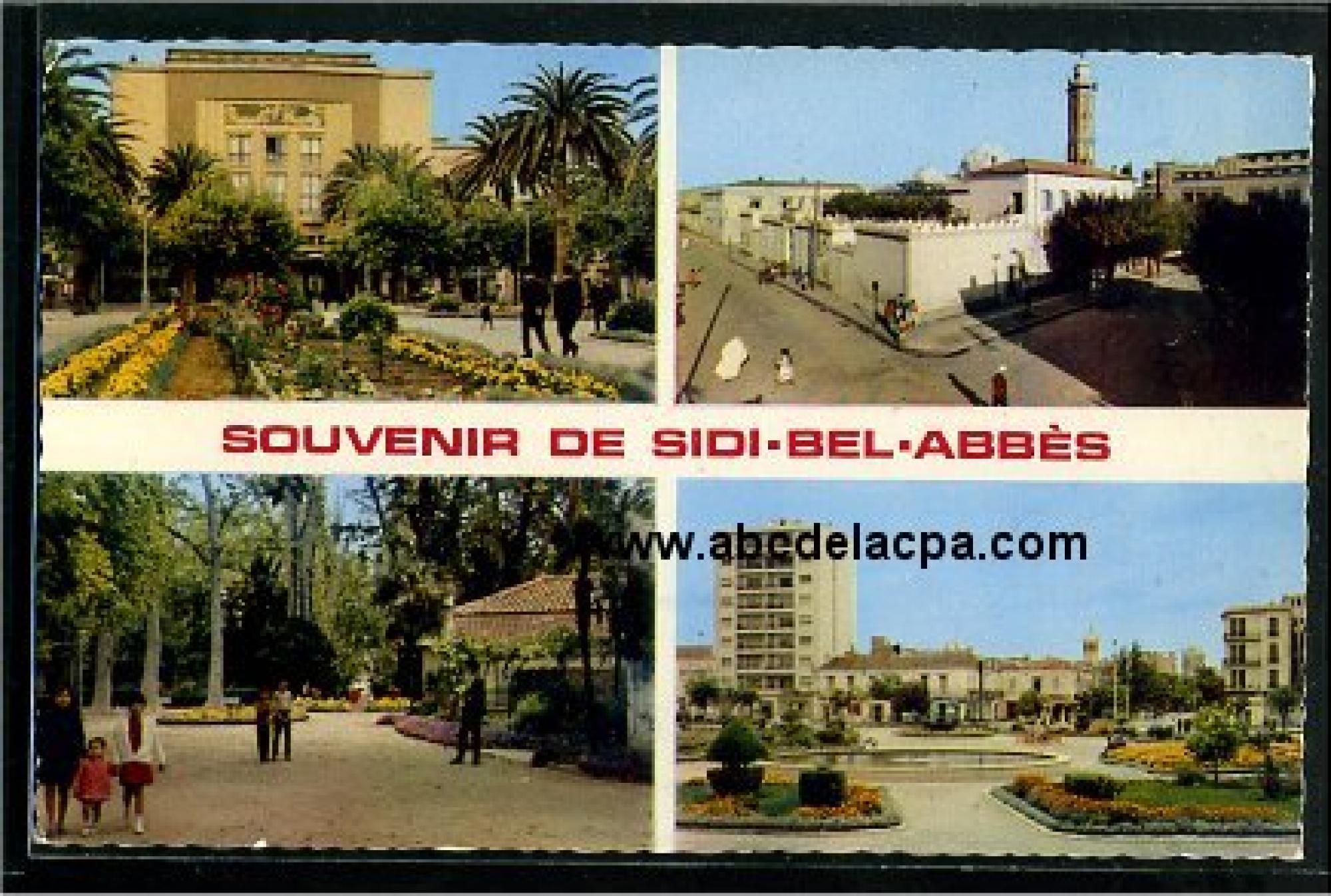 Sidi Bel Abbes  - souvenir de sidi bel abbès